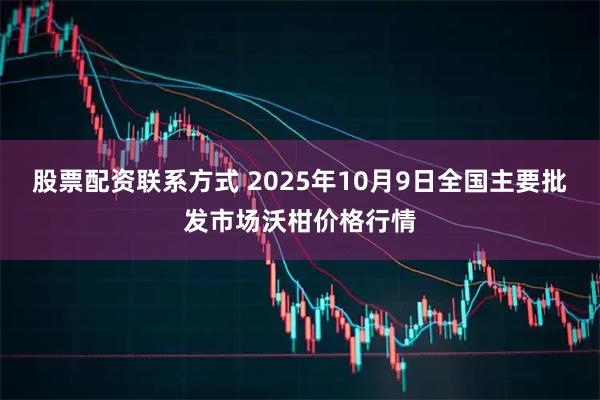 股票配资联系方式 2025年10月9日全国主要批发市场沃柑价格行情